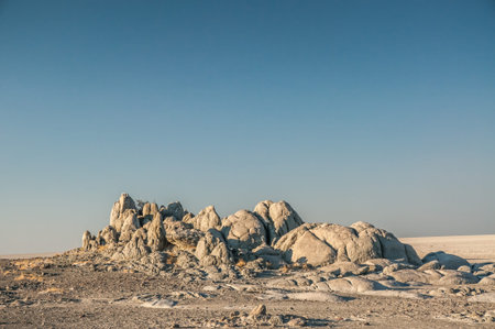 A rocky outcrop in the Makgadikgadi salt pan in Botswana near Kubu Island.の写真素材