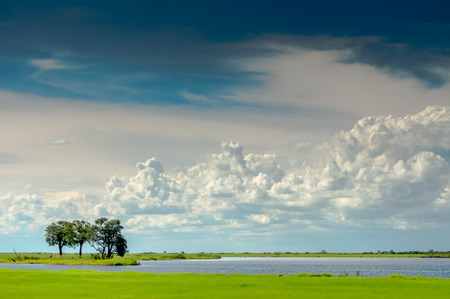 Lanscape at Chobe River looking towards the Namibia Pan Handle side of the river with white clouds, blue sky, and green landscape, and the river being visible.の写真素材