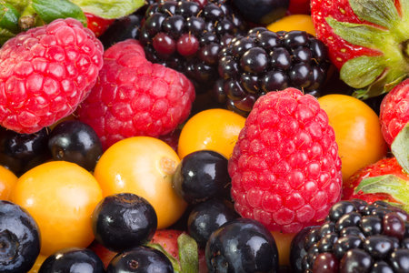 Up Close view of fresh berries of different types, all mixed together.の写真素材