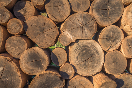 Wooden logs are stacked one on top of the other to create a wall.の写真素材
