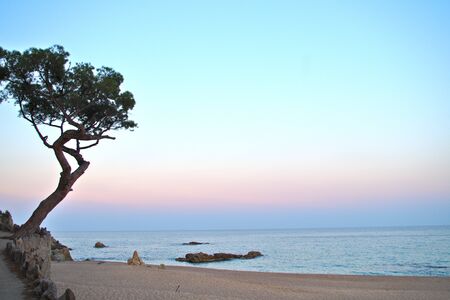Sunset on the Mediterranean coastの写真素材