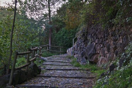 Path in the Mediterranean forestの写真素材