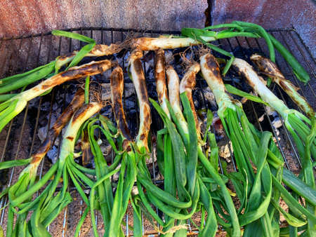 Grill of calÃ§ots on fire.La calÃ§otada is a typical food of Cataloniaの写真素材