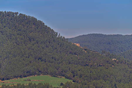 Nice image of a pine forest in Catalonia, with a farmhouse inside the forestの写真素材