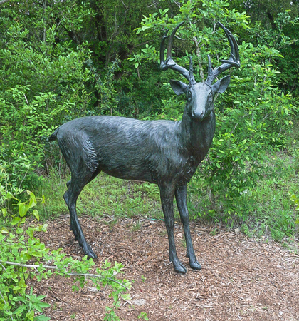 AUSTIN, TEXAS - APRIL 3, 2018 - Deer Sculpture on the trail at Lady Bird Johnson Wildflower Centerのeditorial素材