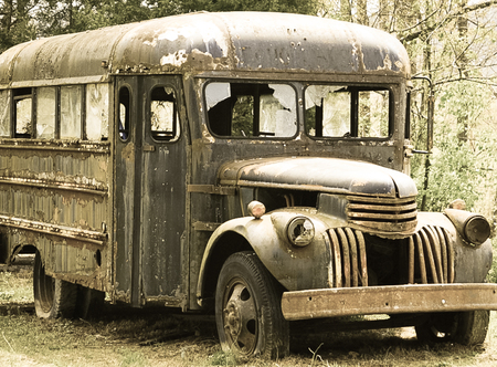 An old abandoned run down bus in the grass and treesの写真素材