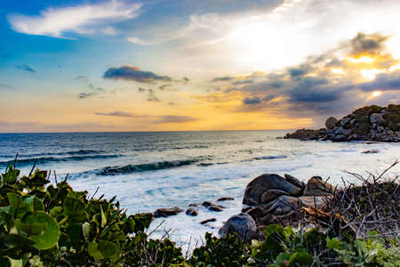 A flock of birds sitting on a rock next to a body of waterの写真素材