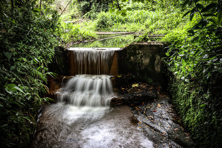 A large waterfall in a forestの写真素材