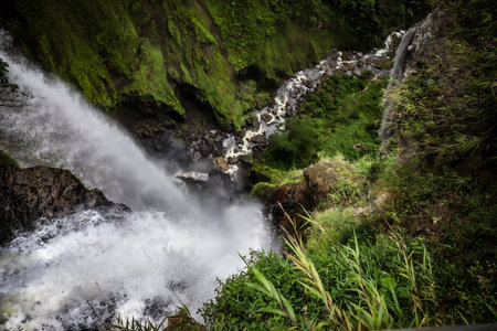 A large waterfall in a forest