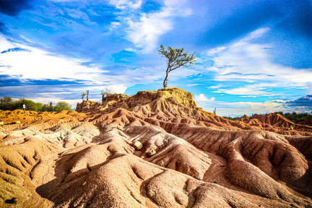 A group of stuffed animals sitting on top of a rockの写真素材