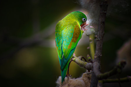 A colorful bird perched on a tree branch