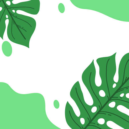 green leaves frame, simple monstera leaf background for social media background.のイラスト素材