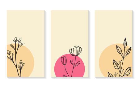 Minimalist social media background with line art flower drawing.のイラスト素材