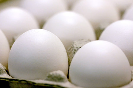 Eggs in Cardboard Carton