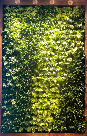 Large wooden, shelved, hanging box containing rows of living plants made to look like artwork