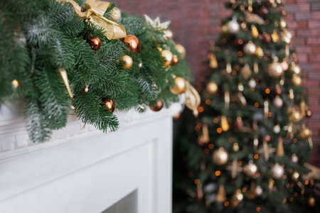 Beautiful christmas tree with decorations in the living roomの写真素材