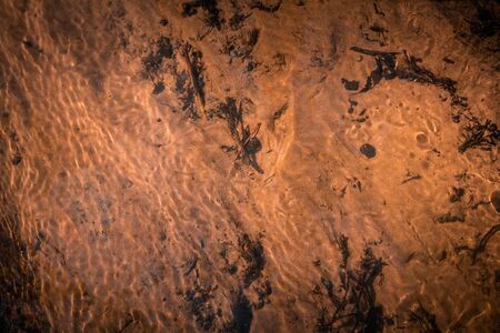 Soil of a Creek in Sunlightの写真素材