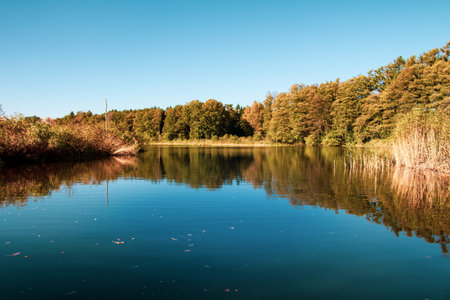 A beautiful Day at the Fish Pond