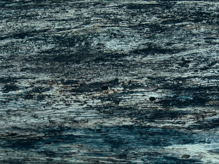 Old wooden texture. Wood background. Old wooden texture. Old wooden backgroundの写真素材