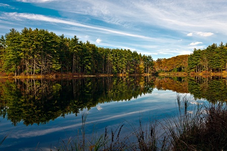 reflection of the forestの写真素材