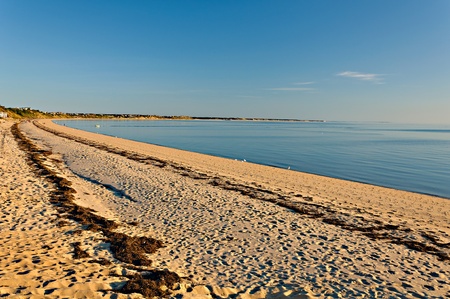 beach in the autumn sceneryの写真素材