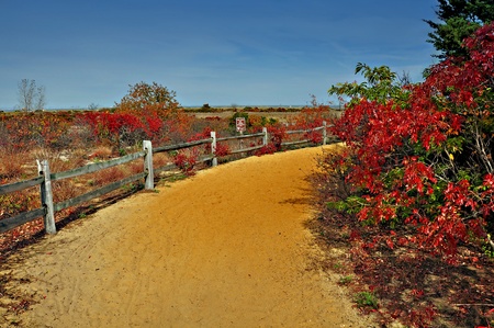 Sandy beach walkway at Sandy Hook New Jerseyの写真素材