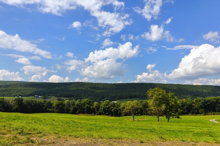 beautiful landscape of the green  forest with white clouds in the skyの写真素材