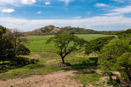 part of the Costa Rican landscapeの写真素材