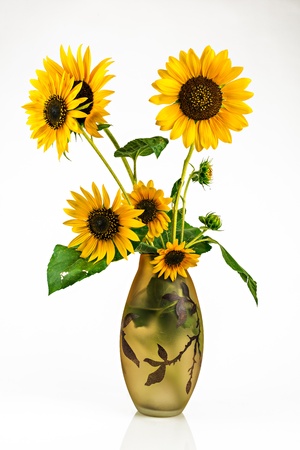 bouquet of sunflowers in a glass vase on a white backgroundの写真素材