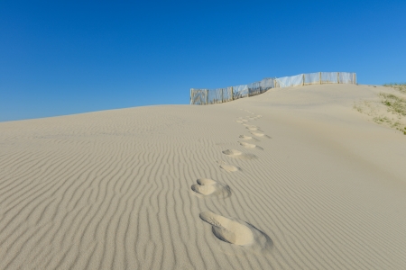 Beautiful Sand Dune with footpath and Pretty Fence の写真素材