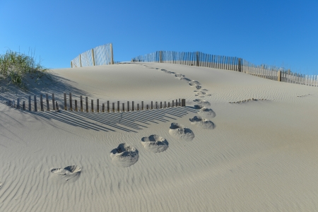 Beautiful Sand Dune with Grasses and Pretty Fenceの写真素材
