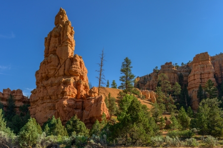 red rock formation in Cedar Breaks National Park, Utahの写真素材