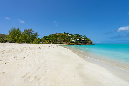 Tropical beach at Antigua island in Caribbean with white sand, turquoise ocean water and blue skyの写真素材