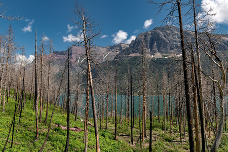 Beautiful landscape view of St Mary Lake in Glacier National Park, Montana,の写真素材