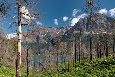 Beautiful landscape view of St Mary Lake in Glacier National Park, Montana,の写真素材