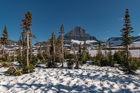 Beautiful Landscape photography of Glacier National Park in Montana USAの写真素材