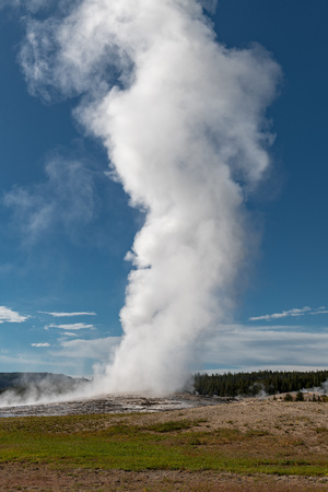 Eruption of Old Faithful geyser at Yellowstone National Park USAの写真素材