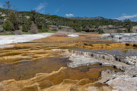Mammoth Hot Springs is a large complex of hot springs on a hill of travertine in Yellowstone National Park. Wyoming, USAの写真素材