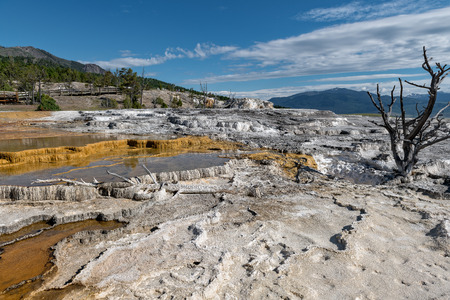 Mammoth Hot Springs is a large complex of hot springs on a hill of travertine in Yellowstone National Park. Wyoming, USAの写真素材