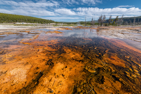 Colorful Hot Springs in Biscuit Basin in Yellowstone National Park, Wyoming, USAの写真素材
