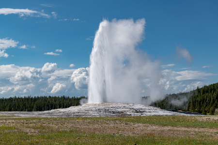 Eruption of Old Faithful geyser at Yellowstone National Park USAの写真素材
