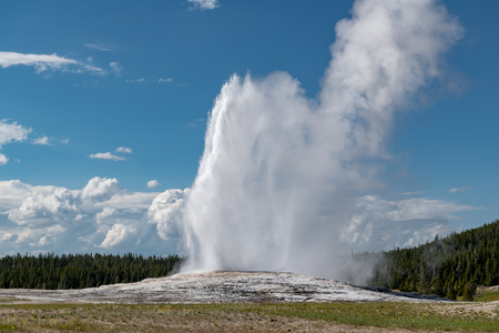 Eruption of Old Faithful geyser at Yellowstone National Park USAの写真素材