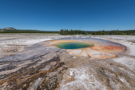 Colorful Hot Springs in Grand Prismatic Yellowstone National Park, Wyoming, USAの写真素材