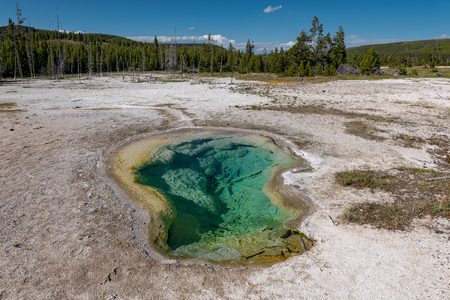 Colorful Hot Springs in Biscuit Basin in Yellowstone National Park, Wyoming, USAの写真素材