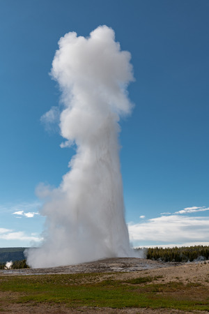 Eruption of Old Faithful geyser at Yellowstone National Park USAの写真素材