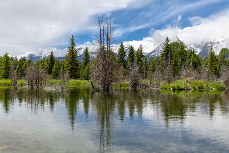 Schwabacher landing in early morning with its reflection. Grand Teton national park, WYの写真素材