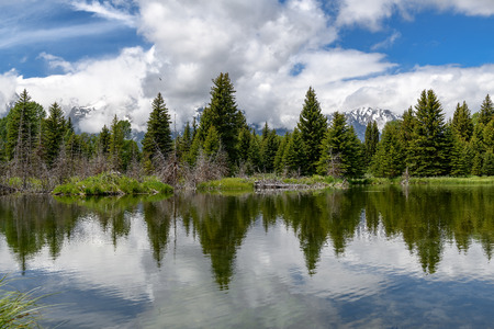 Schwabacher landing in early morning with its reflection. Grand Teton national park, WYの写真素材