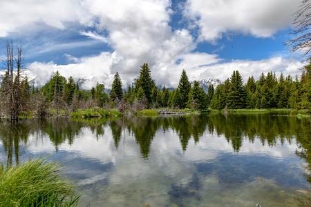 Schwabacher landing in early morning with its reflection. Grand Teton national park, WYの写真素材
