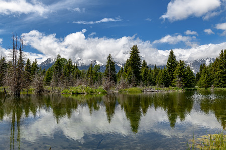 Schwabacher landing in early morning with its reflection. Grand Teton national park, WYの写真素材
