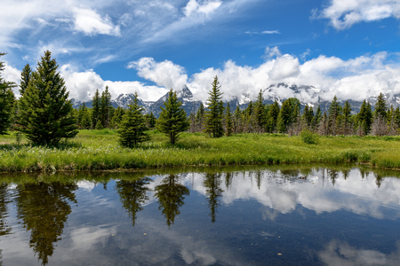 Schwabacher landing in early morning with its reflection. Grand Teton national park, WYの写真素材